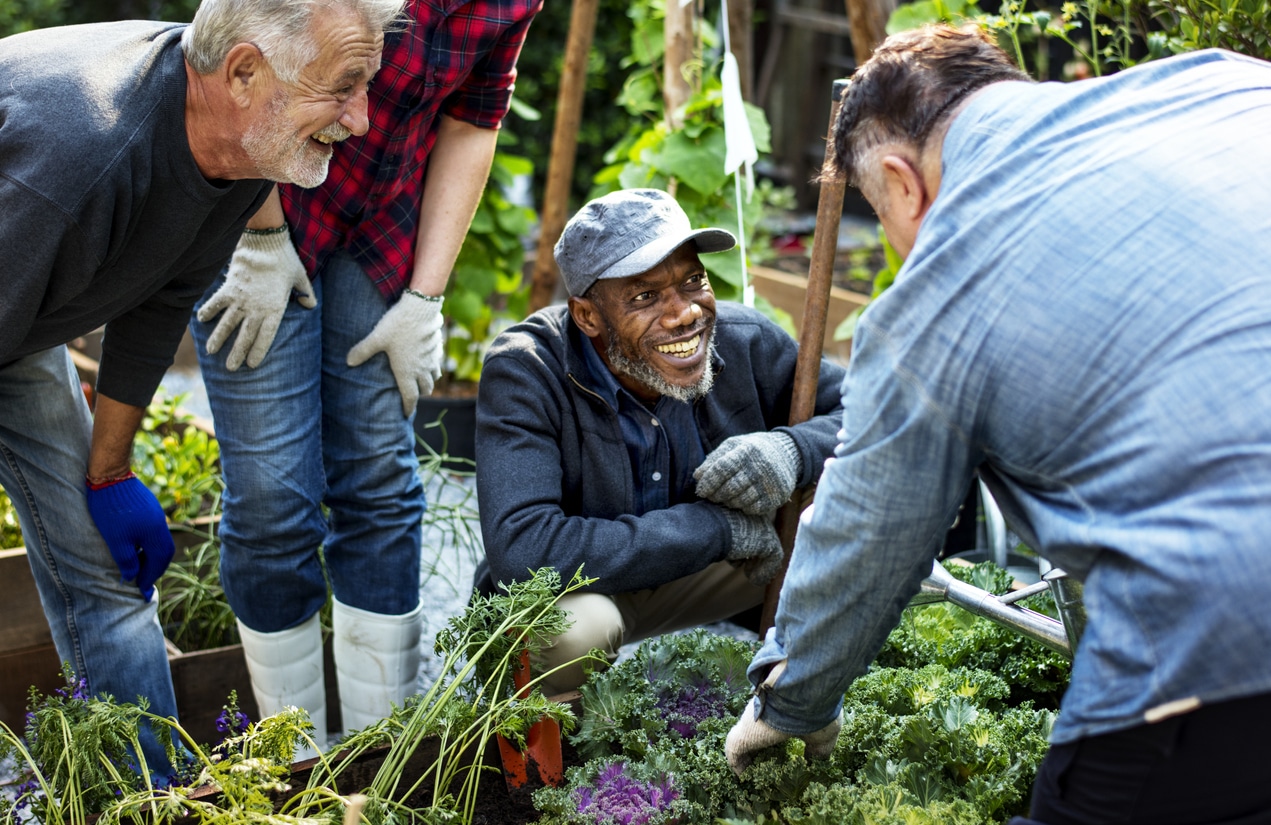 senior gardening