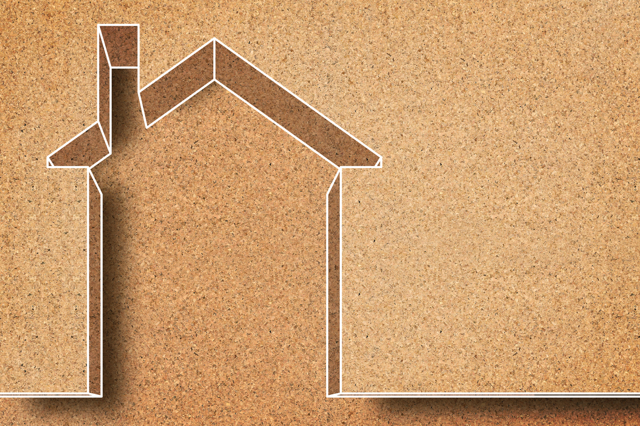 Green home insulation 

Credit: Francesco Scatena via iStock by Getty Images