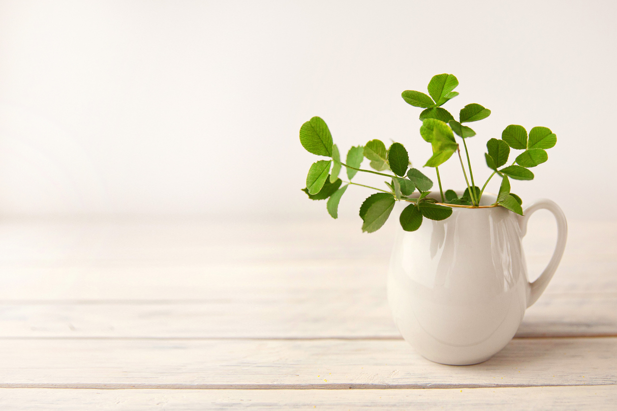 Biofriendly Ways to Go Green for St. Patrick's Day
Image Credit:Tatyana Rusinova via iStock by Getty Images
