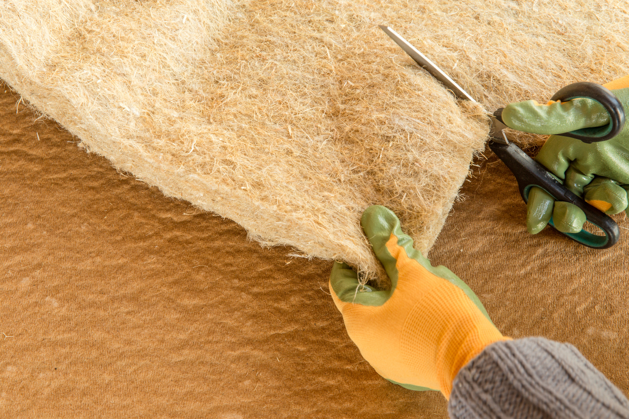 Green home insulation

Credit: Olga Ionina via iStock by Getty Images