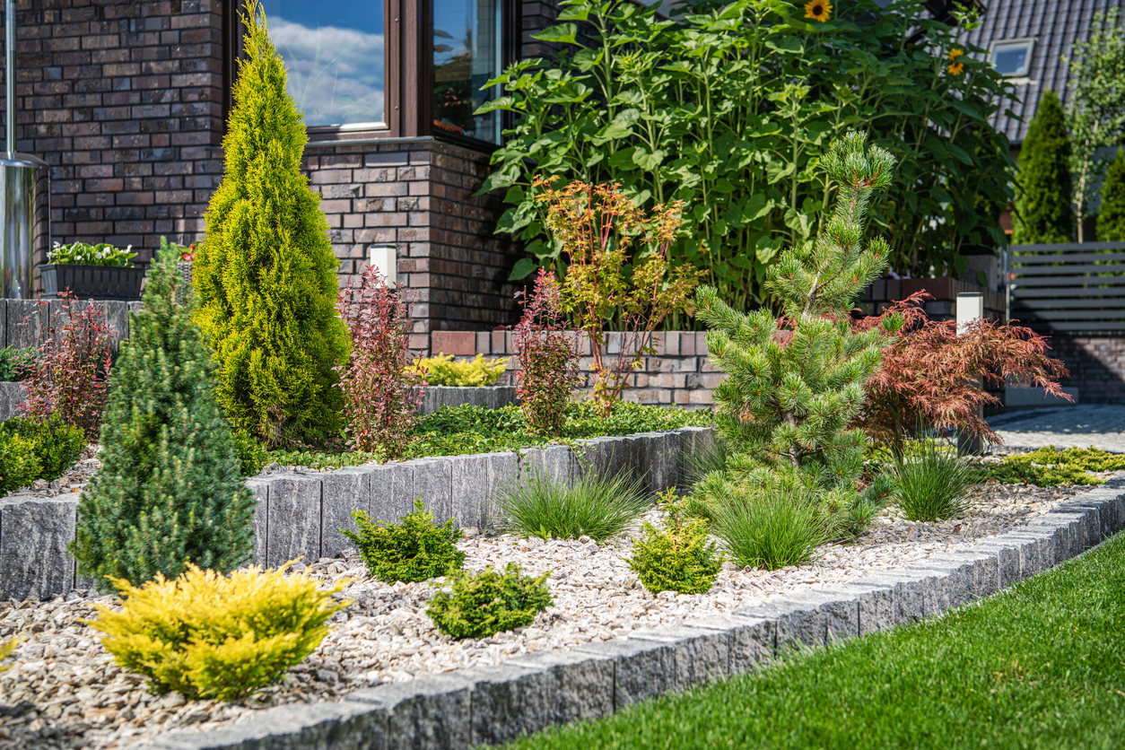 Having trees in your garden

Credit: Welcomia via iStock by Getty Images