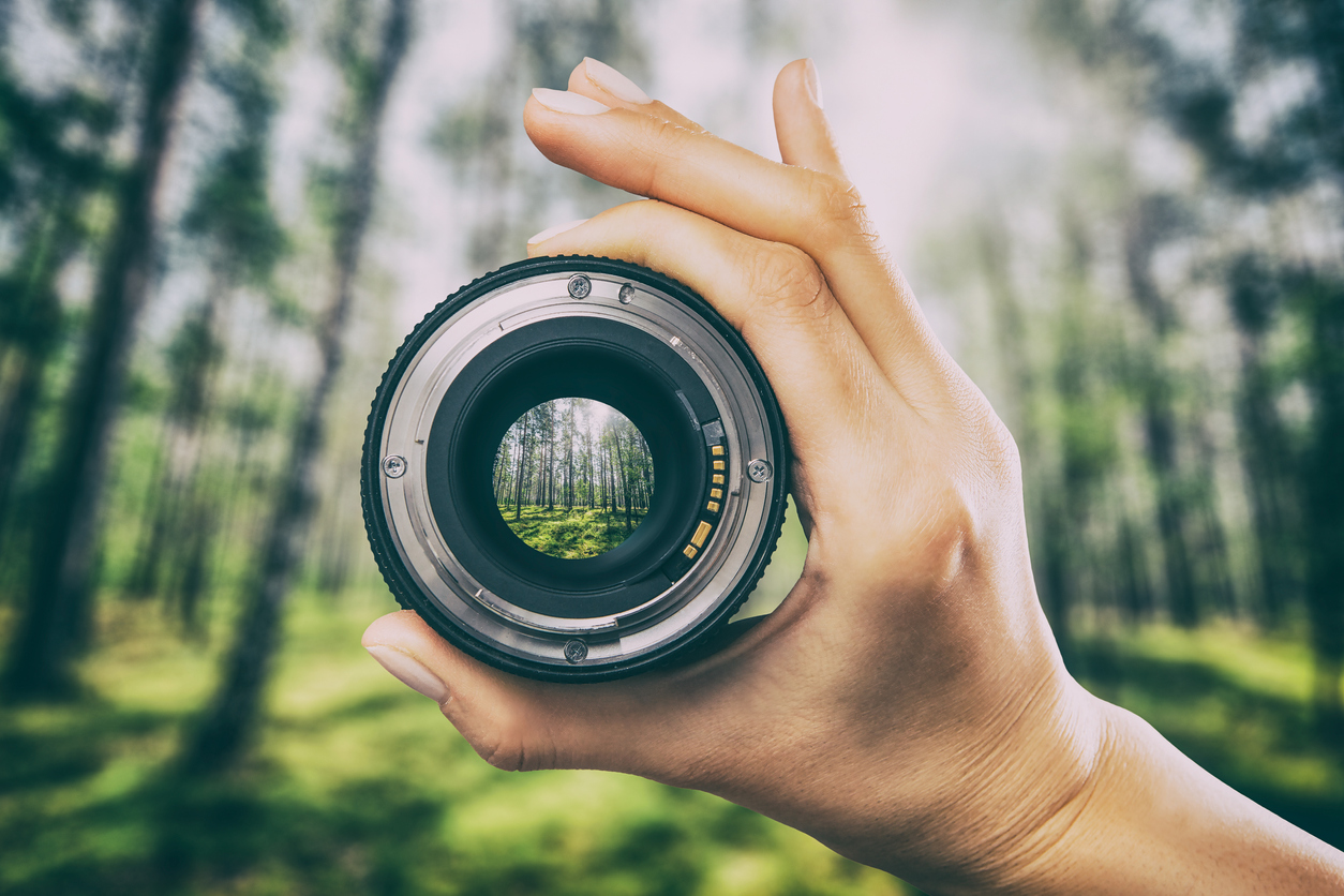 Eco photography

Credit: scyther5 via iStock by Getty Images