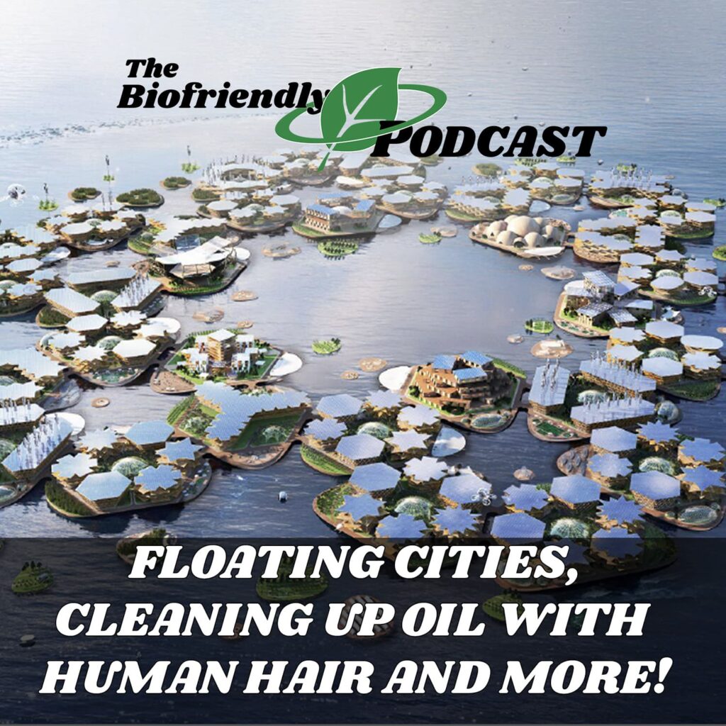 Floating Cities, Cleaning Up Oil With Human Hair And More! - The ...