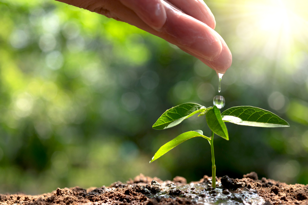 Water conservation tips
Image by Mintr via iStock by Getty Images