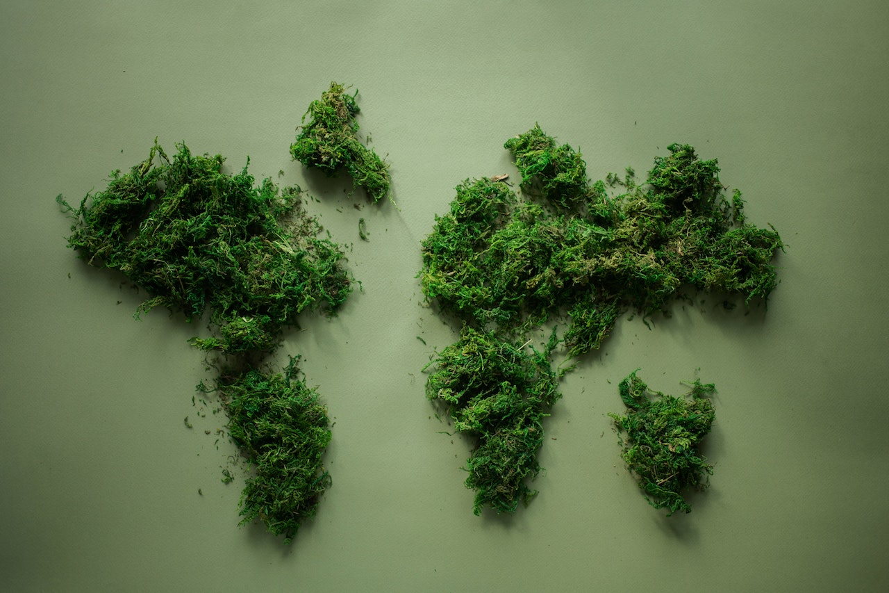 Ecotourism

Image by Monstera via Pexels