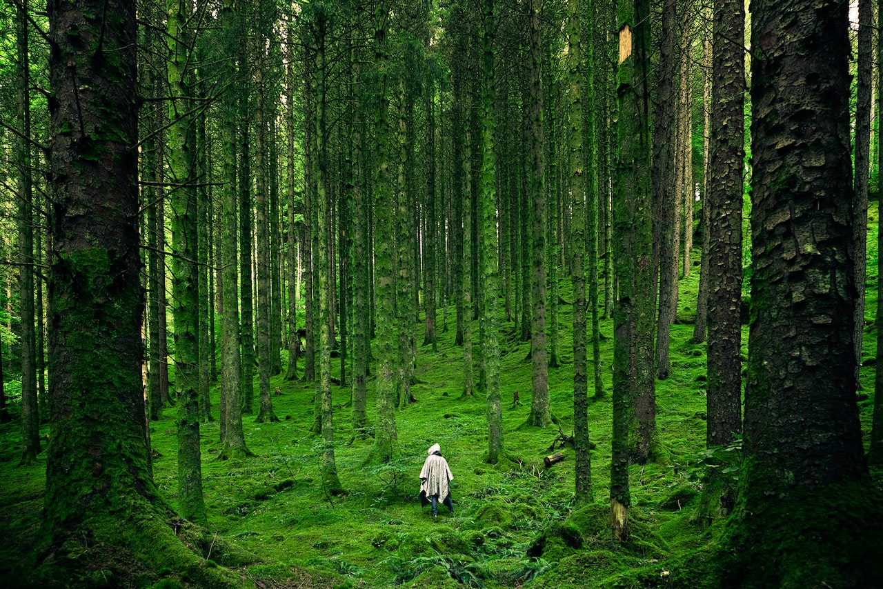 Sustainable Lifestyle Tips

Image by Luis del Rio via Pexels
