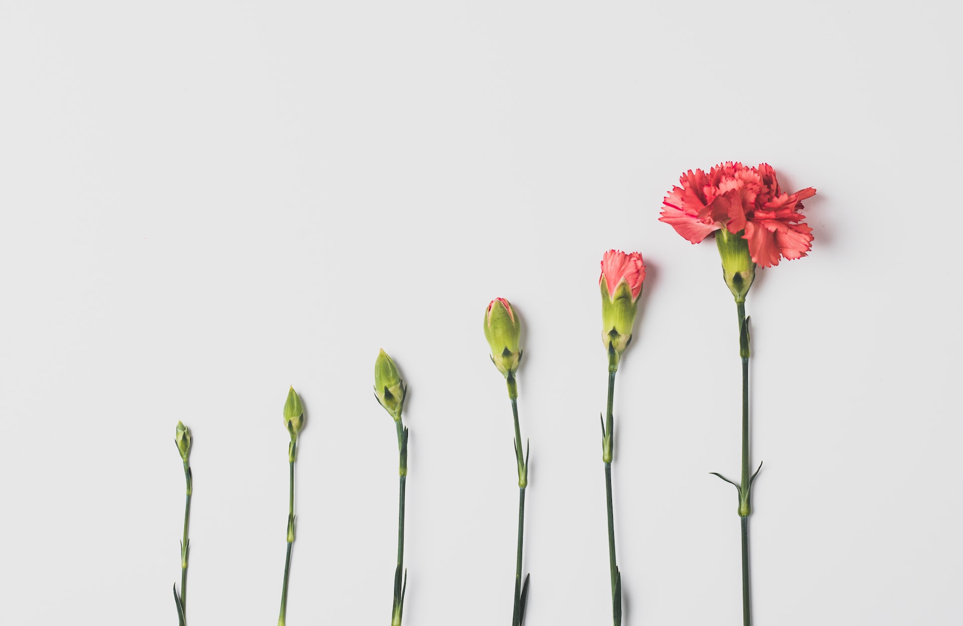 Photo by Edward Howell on Unsplash