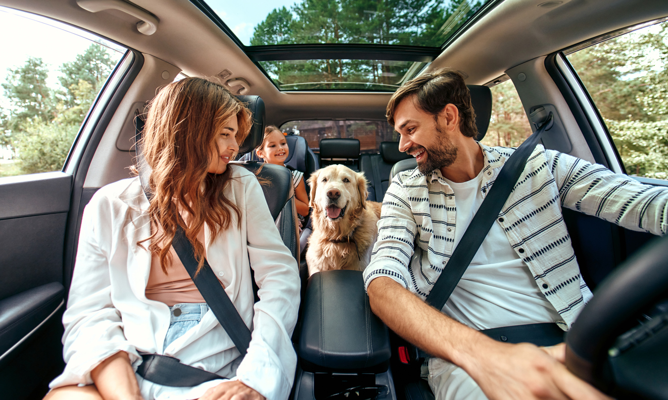 Biofriendly fuel conservation tips

Image by Valerii Apetroaiei via iStock by Getty Images 