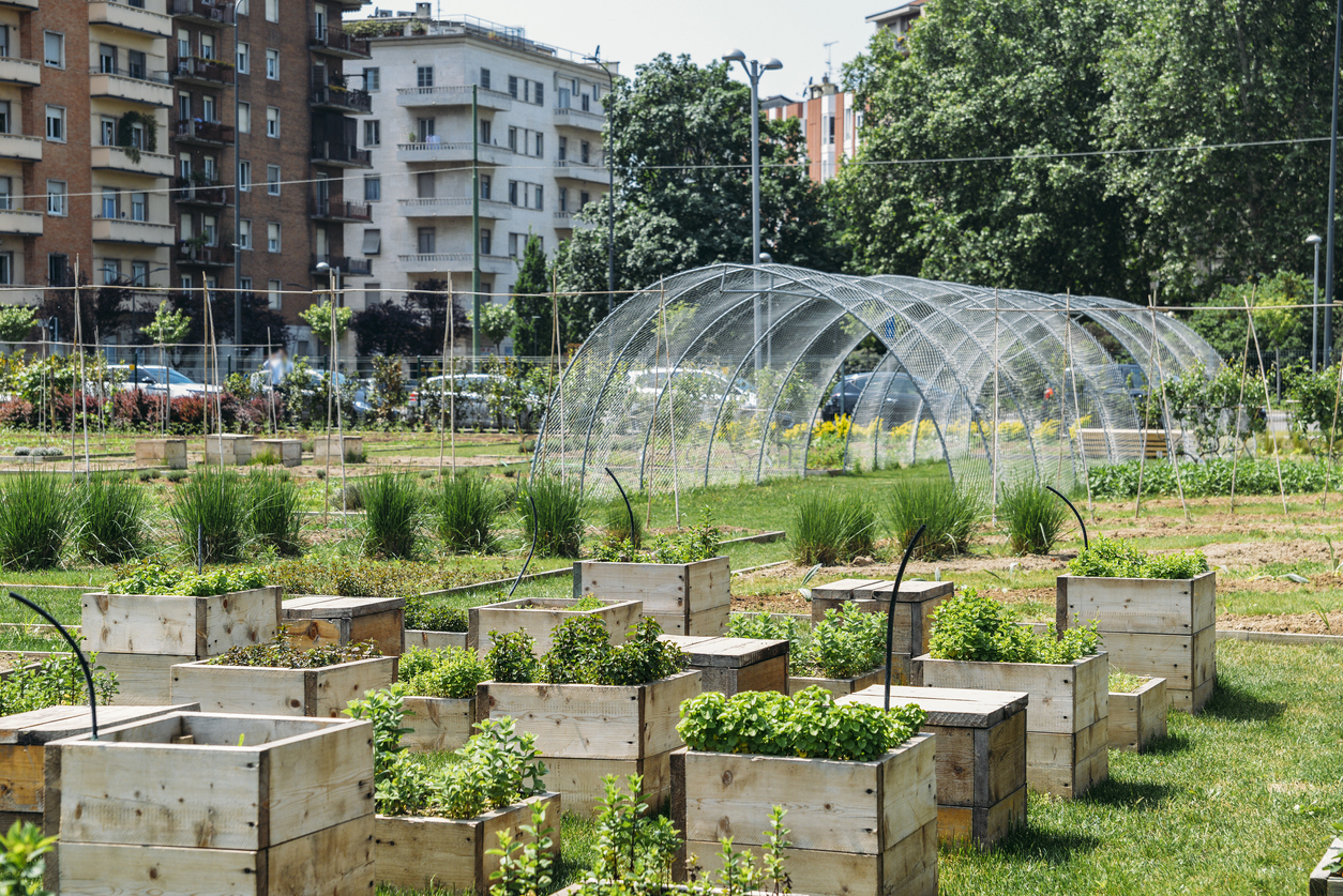 Urban green space 

Image by BrasilNut1 via iStock by Getty Images