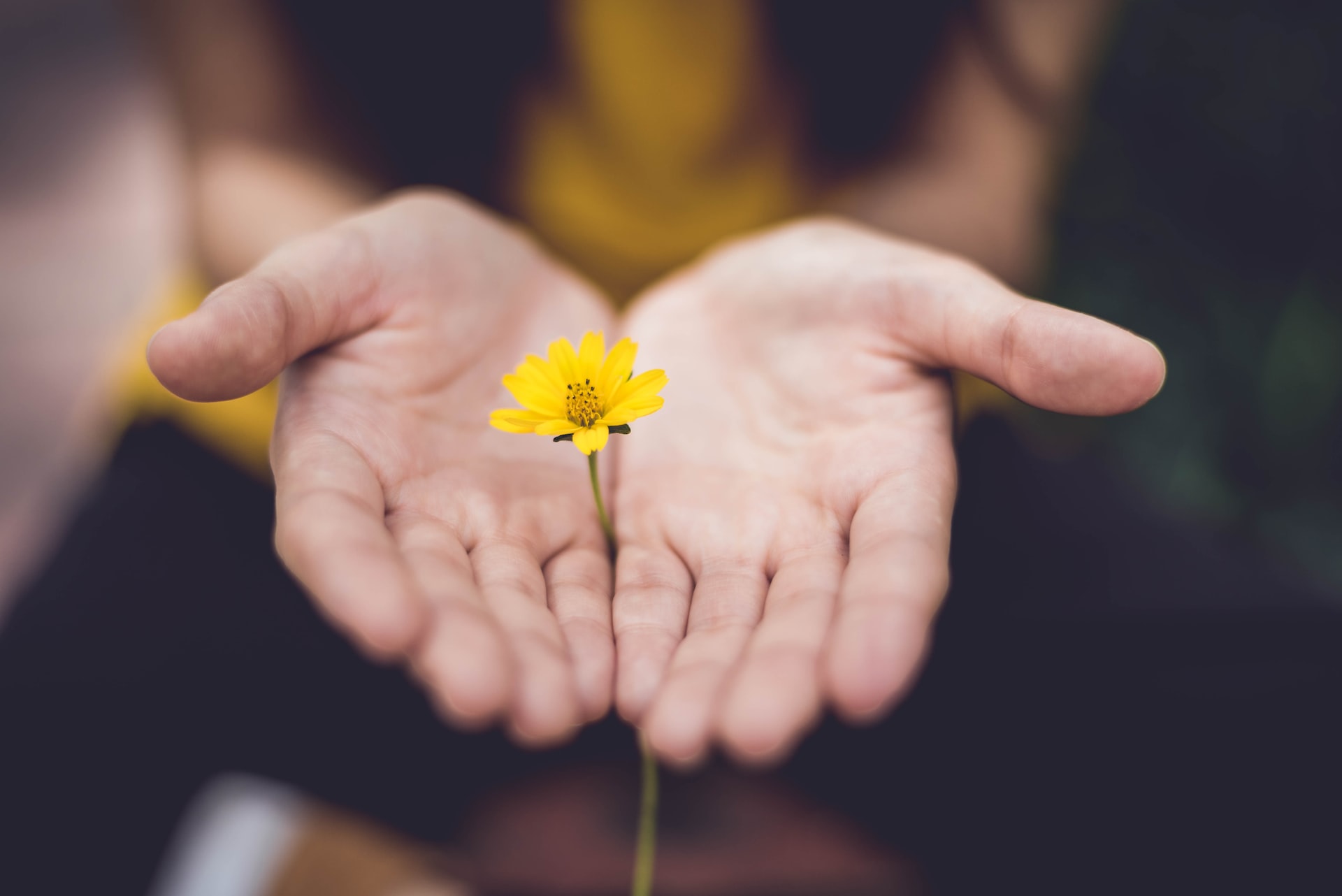 Reducing your carbon footprint

Photo from Lina Trochez on Unsplash