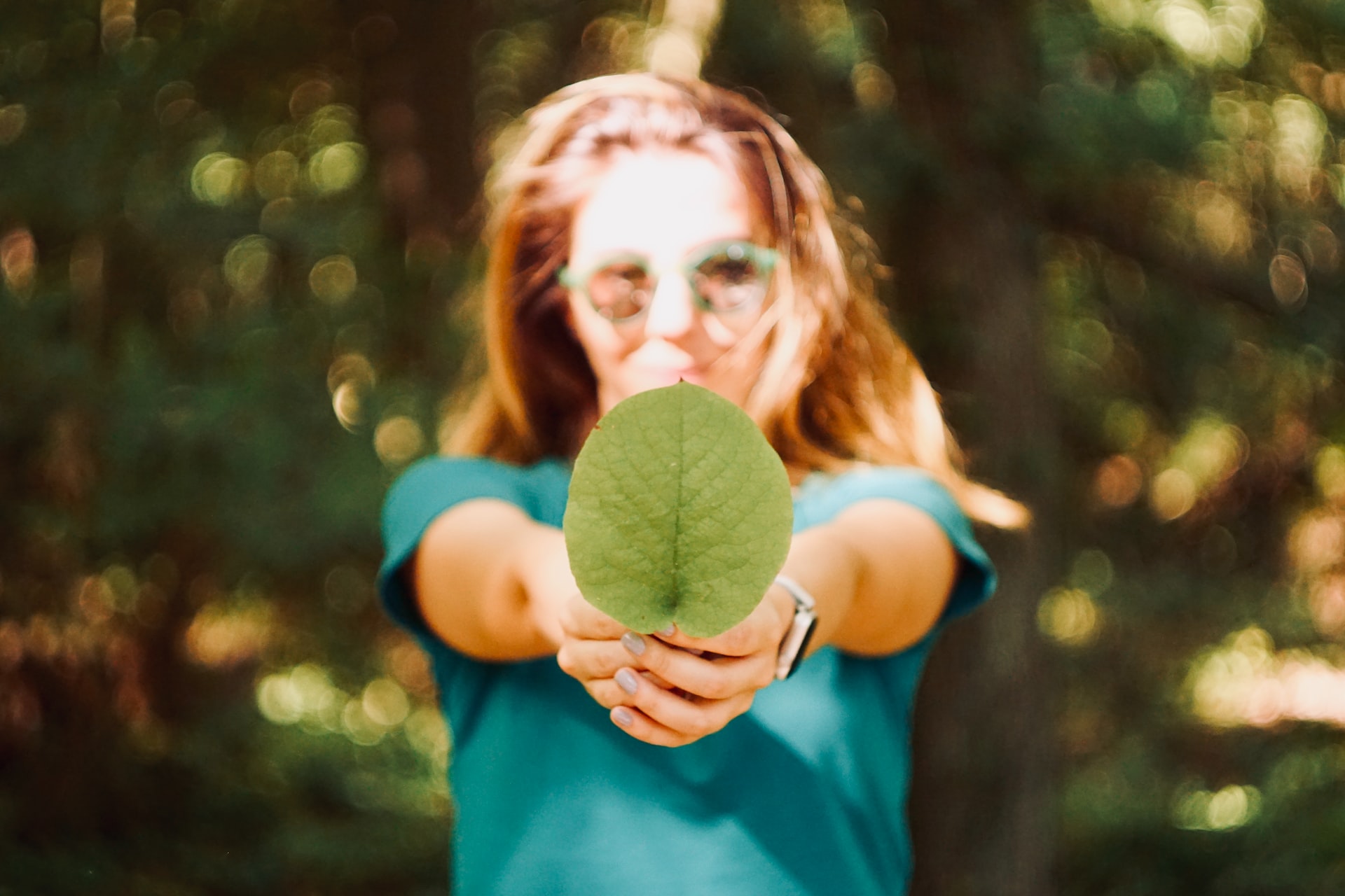 Reasons you should care about sustainability

Photo by Mert Guller on Unsplash