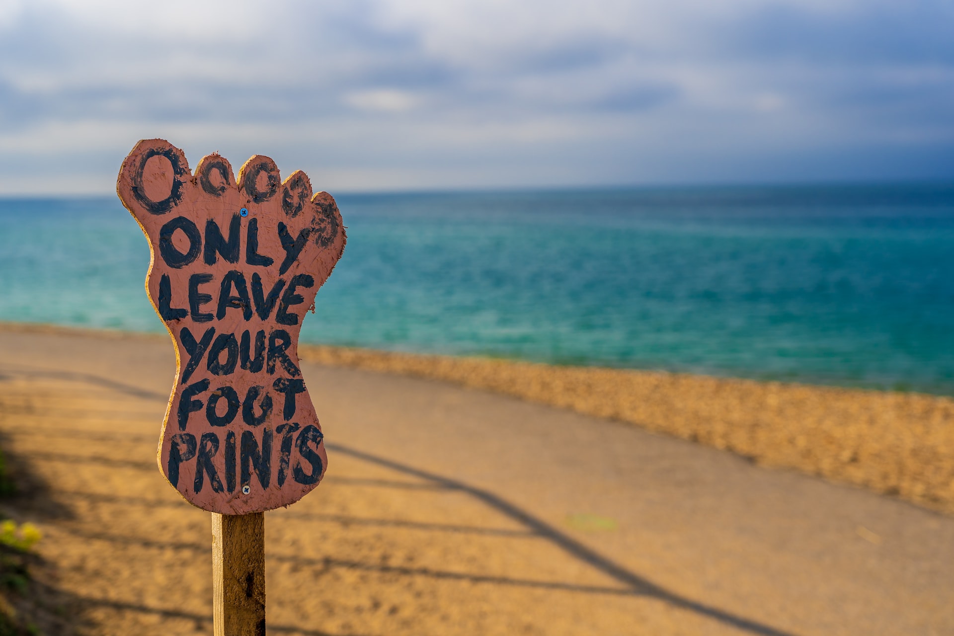 Photo by Nick Fewings on Unsplash