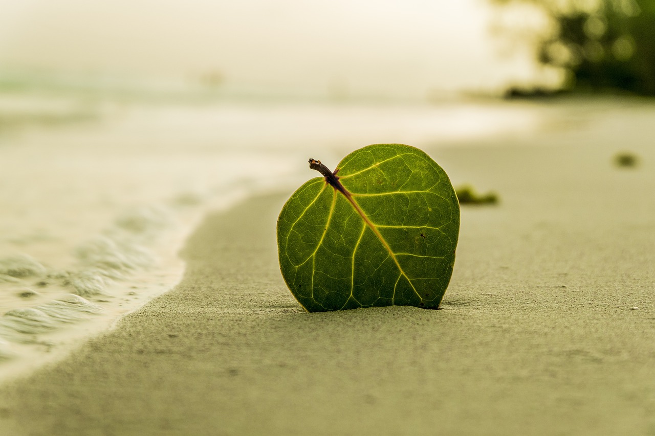 Could sand power the next battery?

Image by Leonardo Thomas from Pixabay.