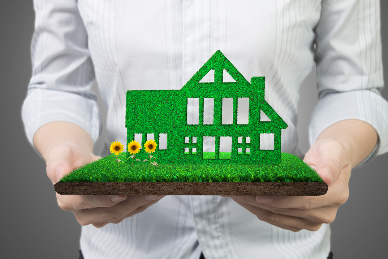 Planning and building a green home without breaking the bank
Credit: BsWei
