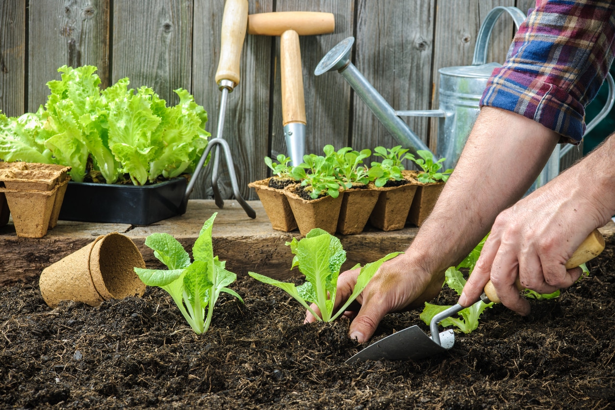 gardening