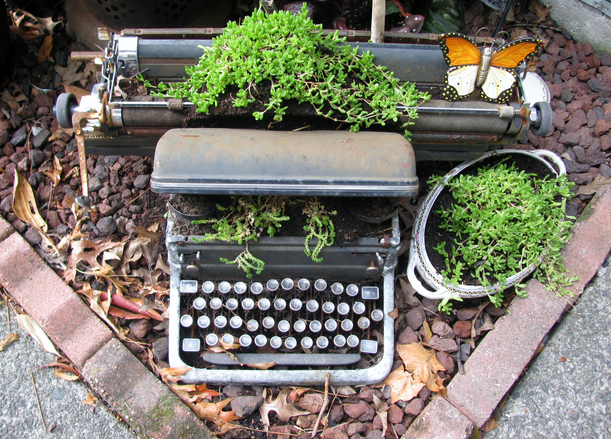 upcycled typewriter garden

Credit: Irina274