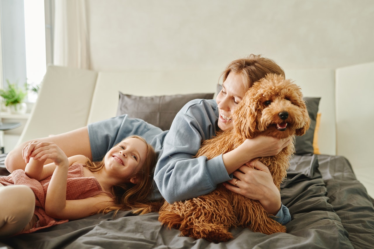 healthy environment for your pet

Credit: Photo by Matilda Wormwood