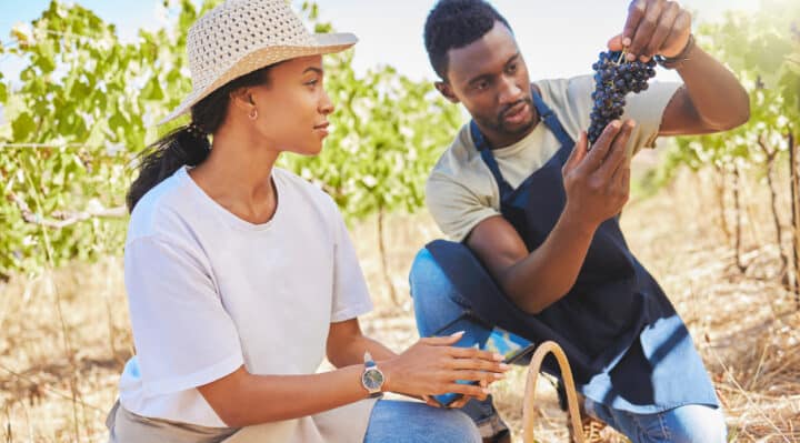 sustainable wines

Credit: PeopleImages via iStock by Getty Images