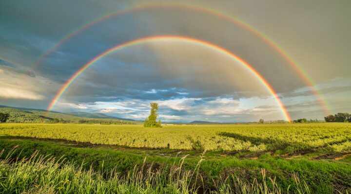 Earth Day Every Day

Photo by James Wheeler