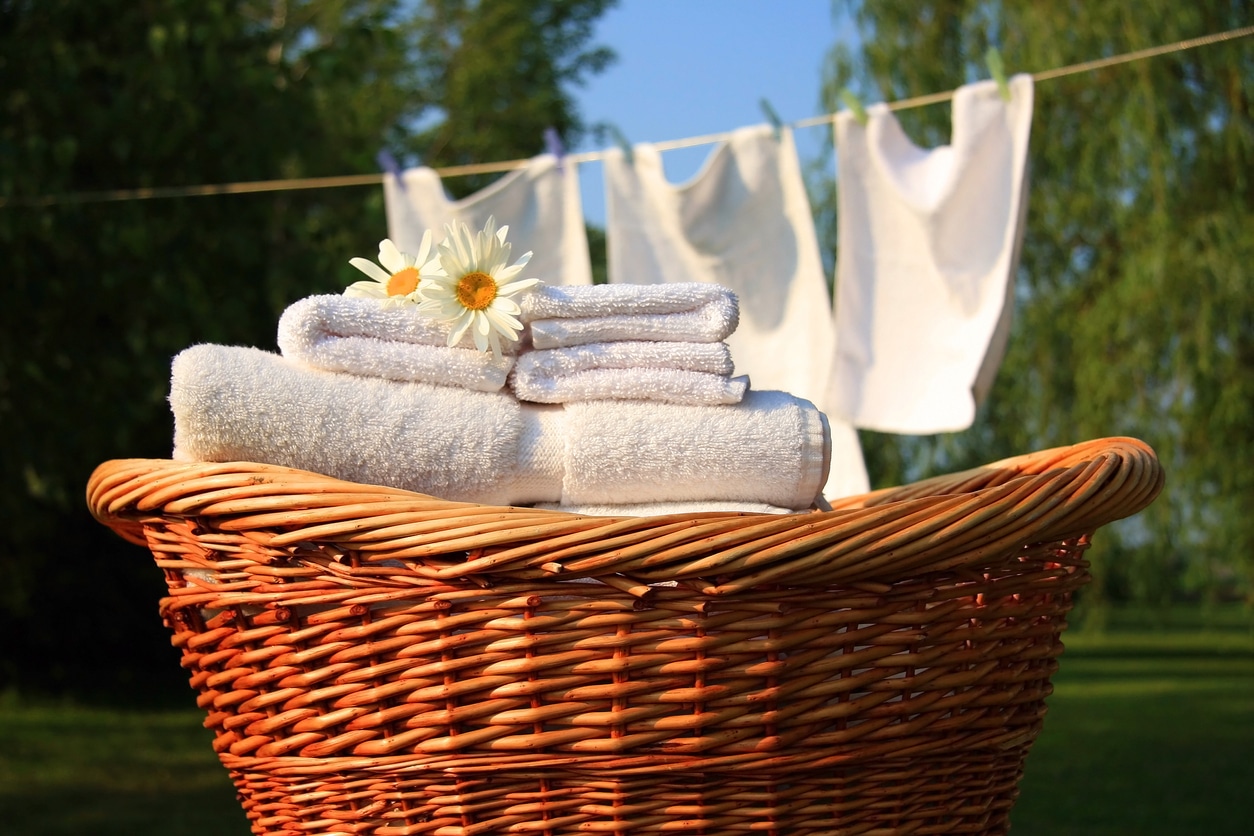 towels hanging to dry
