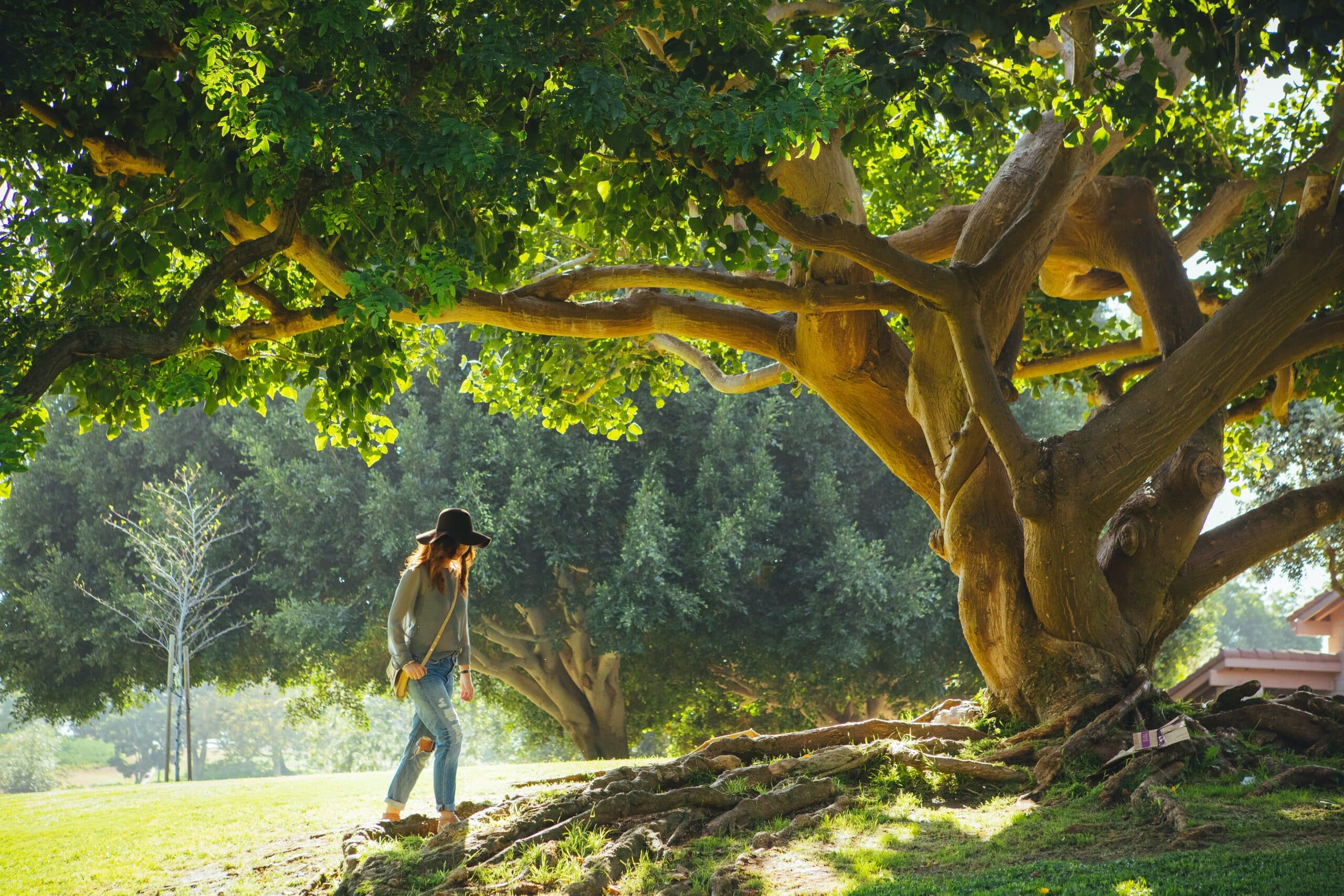 woman in hat walking under tree