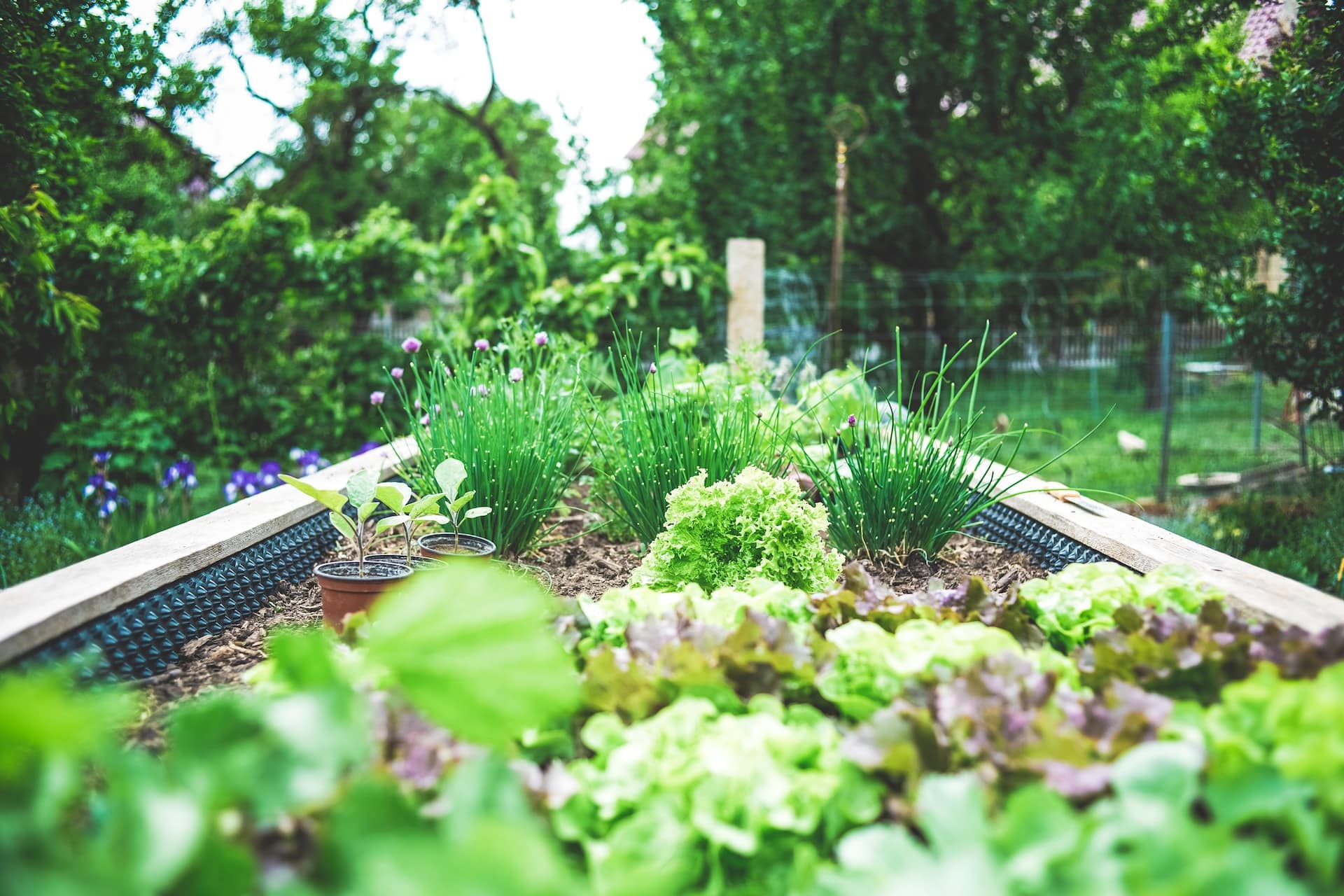 eco-friendly gardening at home