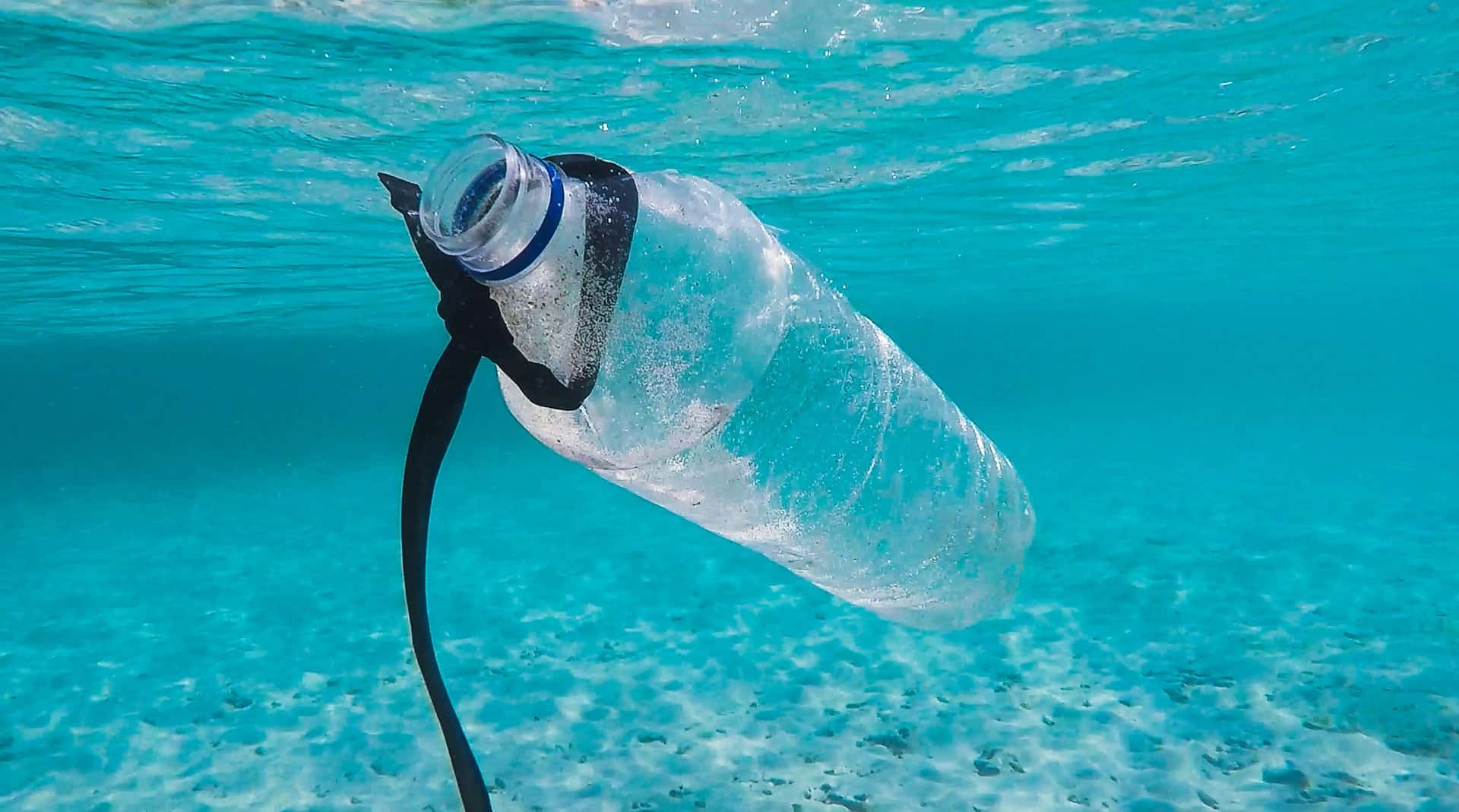 plastic bottles - protect our oceans