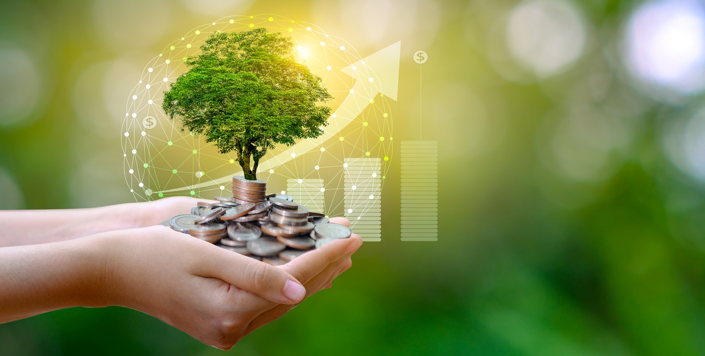 Funding innovative business strategies for environmental good