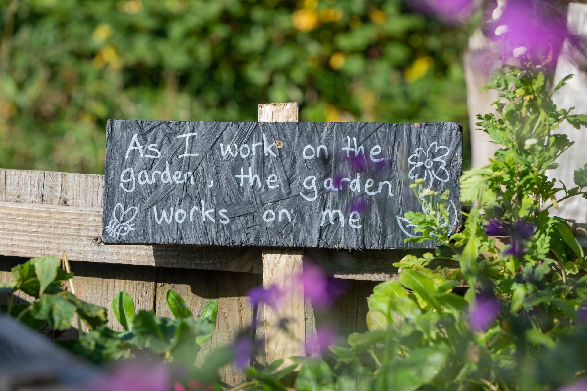 garden works on me - mental health and environment
