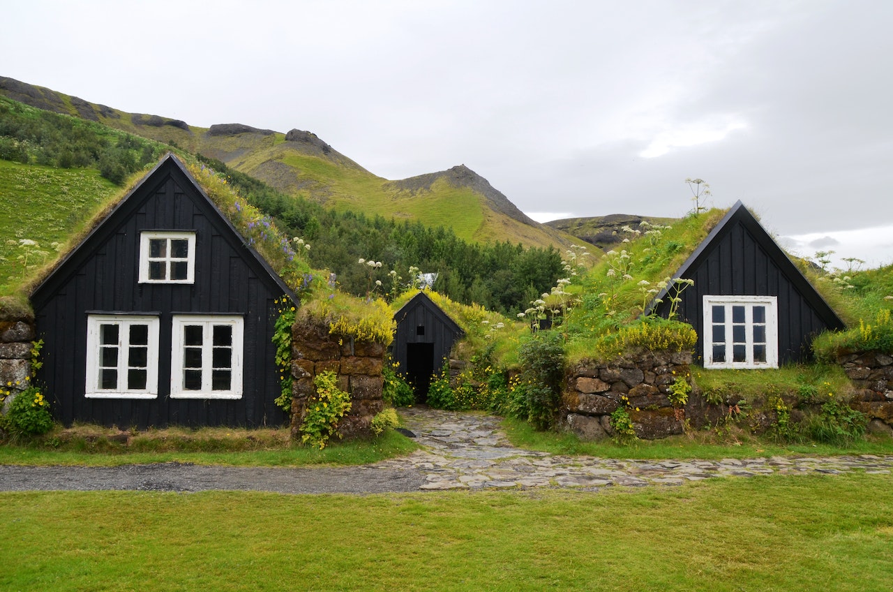 green roof - green retrofit