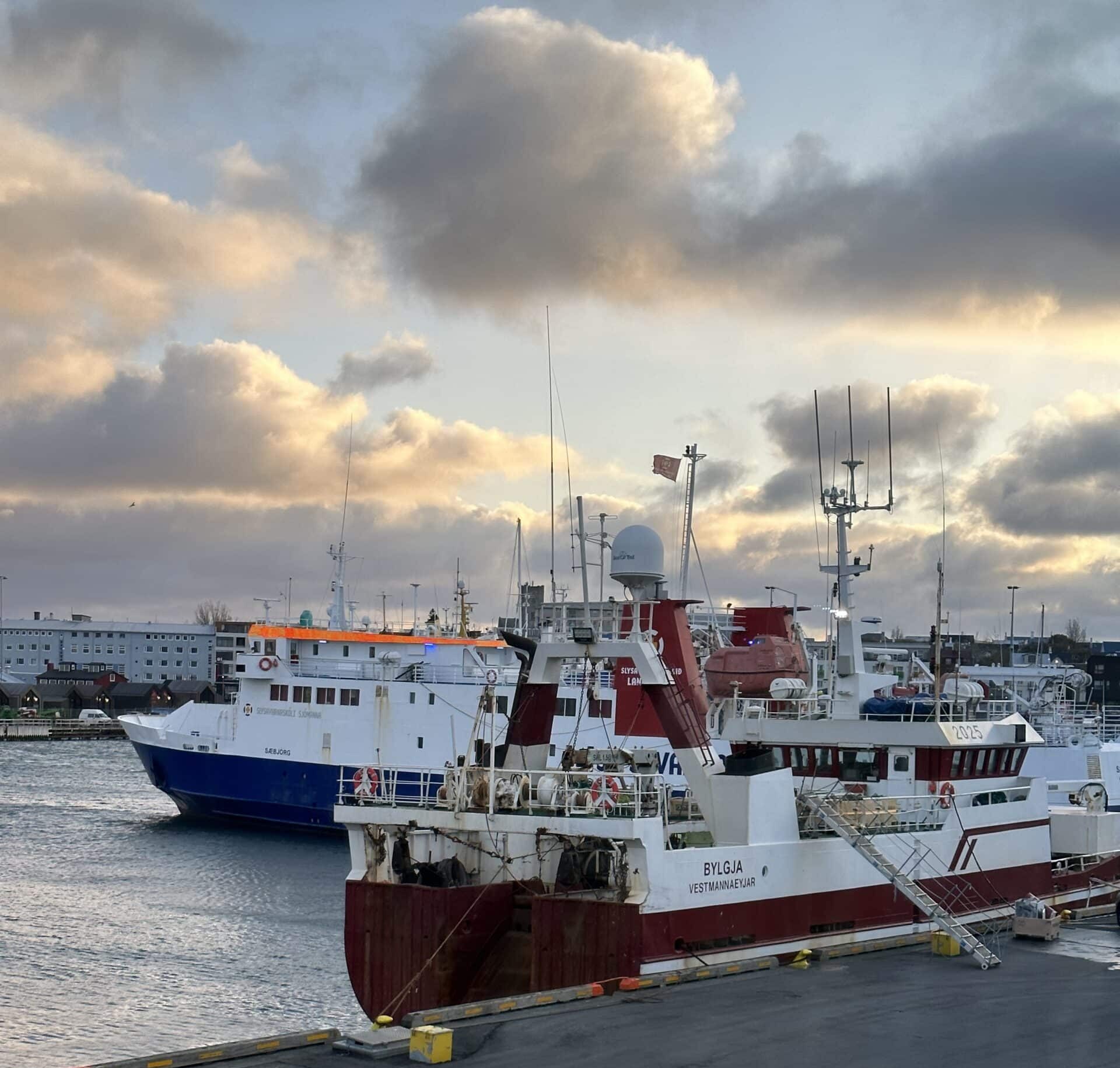 Iceland navigating toward zero-waste fishing - Image property of Jacob Givens - Biofriendly