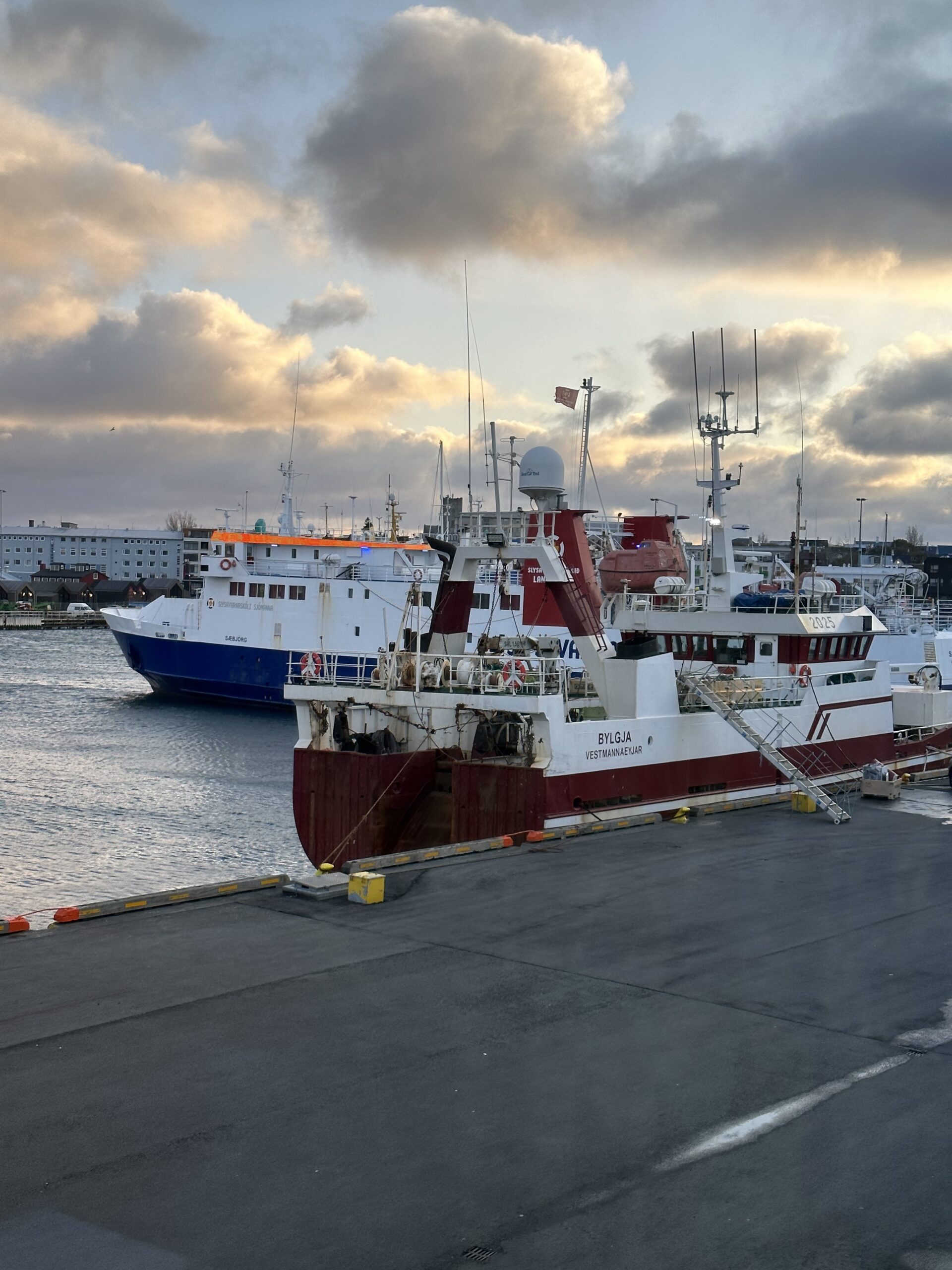 Iceland navigating toward zero-waste fishing