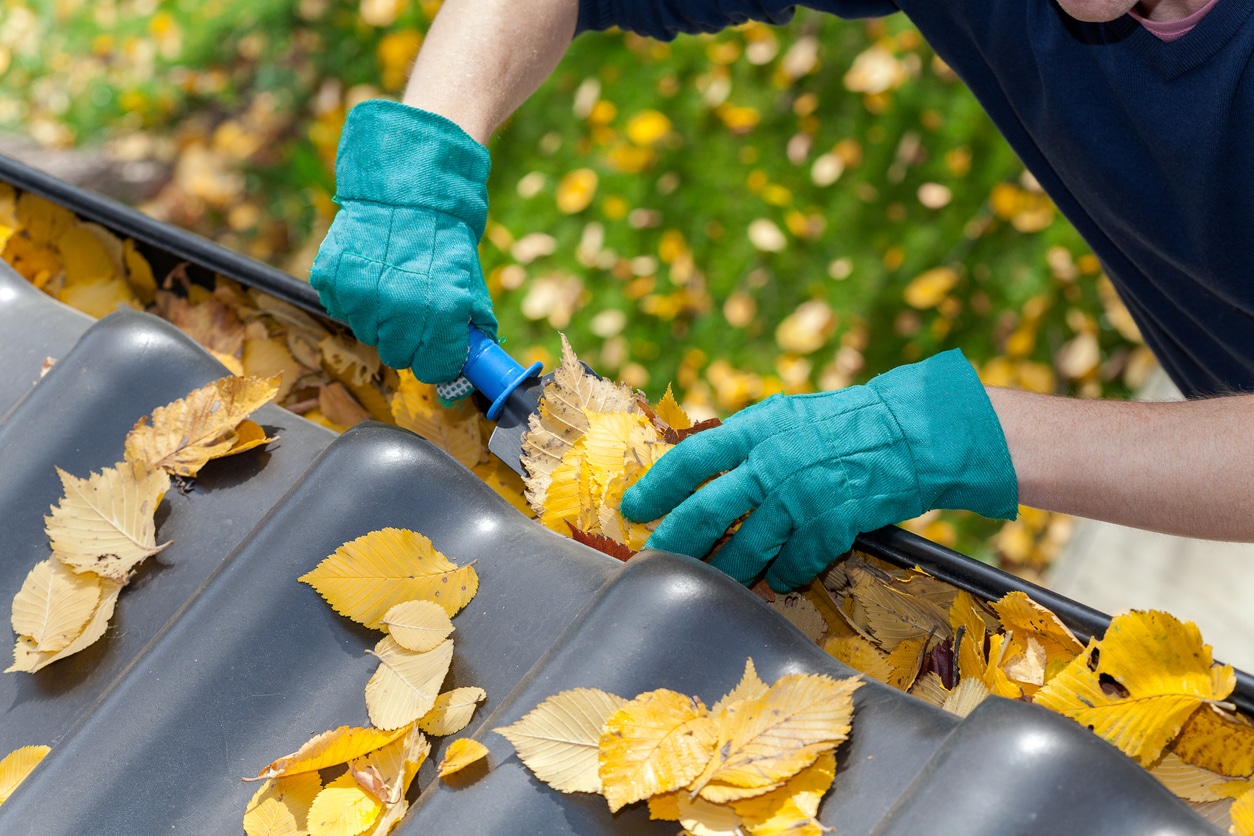 cleaning gutters