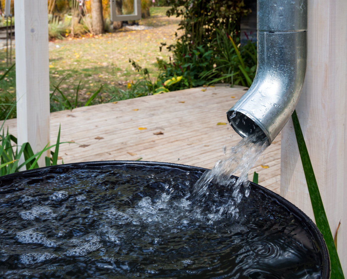 rainwater harvesting