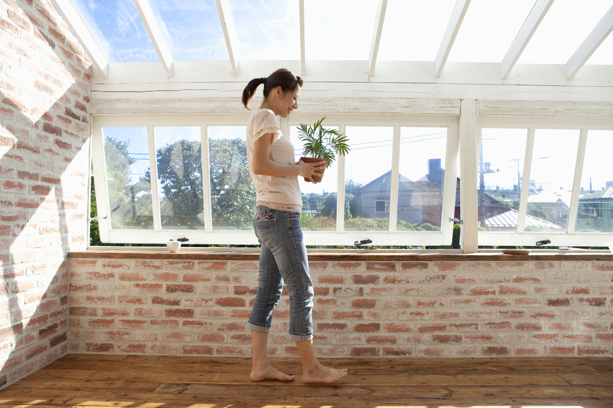 Sunlight and sustainability - eco sunroom