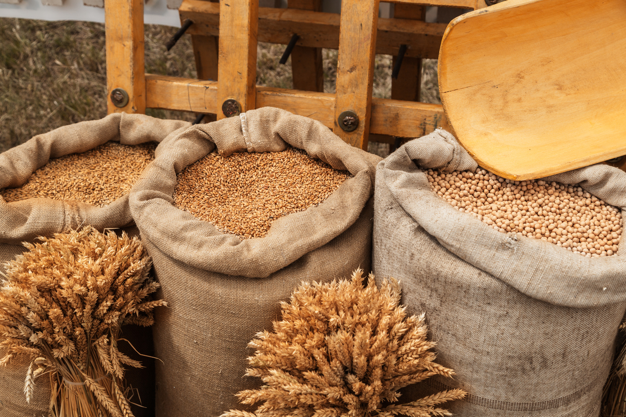 finding sustainable grains