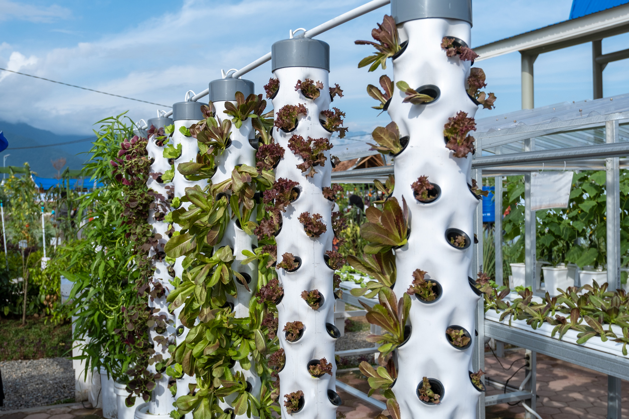 vertical farming - eco-smart innovations