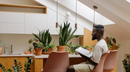 Passive design - skylights and plants