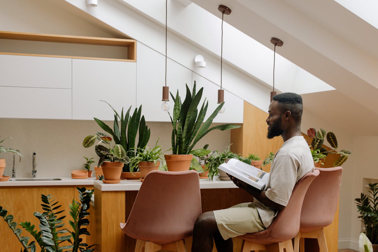 Passive design - skylights and plants