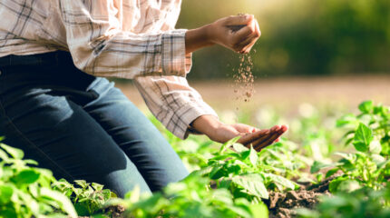 Organic waste into sustainable fertilizer