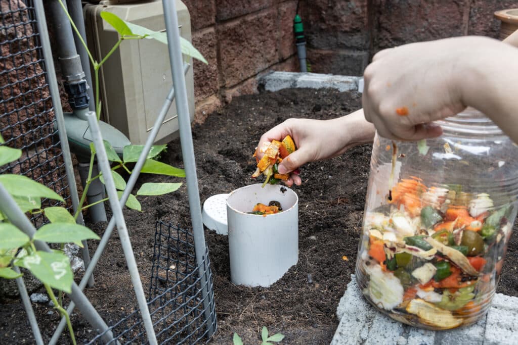 food scraps into compost