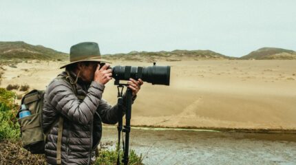 photographing nature