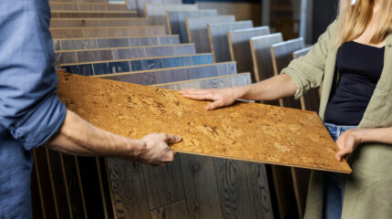 sustainability and resilience in home construction and design