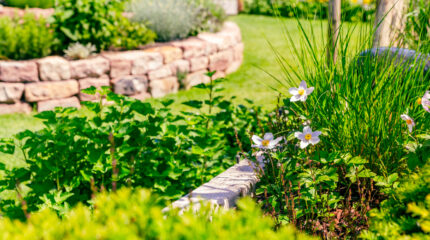 vegetable and herb keyhole garden