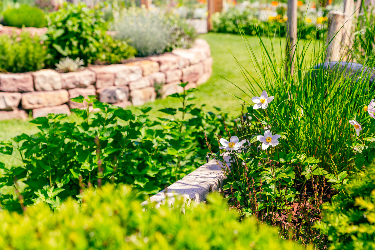 vegetable and herb keyhole garden