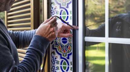 integrated pest management - weatherstripping