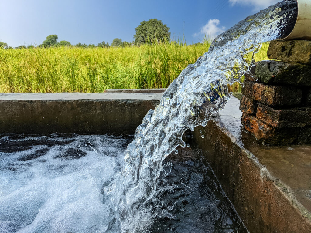 Nurturing Nature’s Underground Reserve: Simple Ways to Protect Our Precious Water