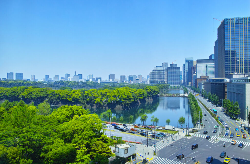 Sonic Forestry: How Tree Acoustic Monitoring Is Revolutionizing Urban Forest Health