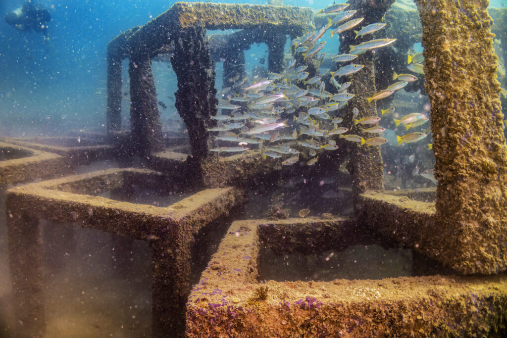 Credit: Alexandre Patchine Upcycled concrete into artificial reefs