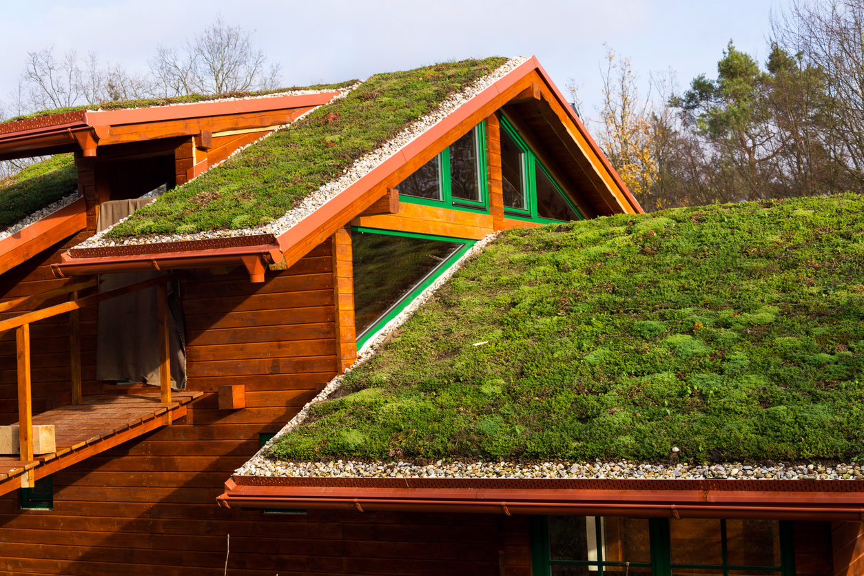 green roofs
